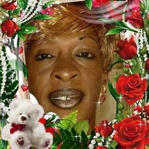 Meet your Posher, Pretiece